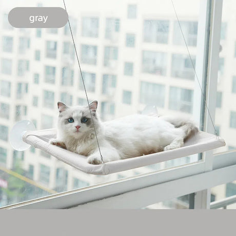 Upgrade cat hammock four season pet bed suction cup hanging cat bed folding window sill cat bed pet supplies - V.I.P Digital Presence