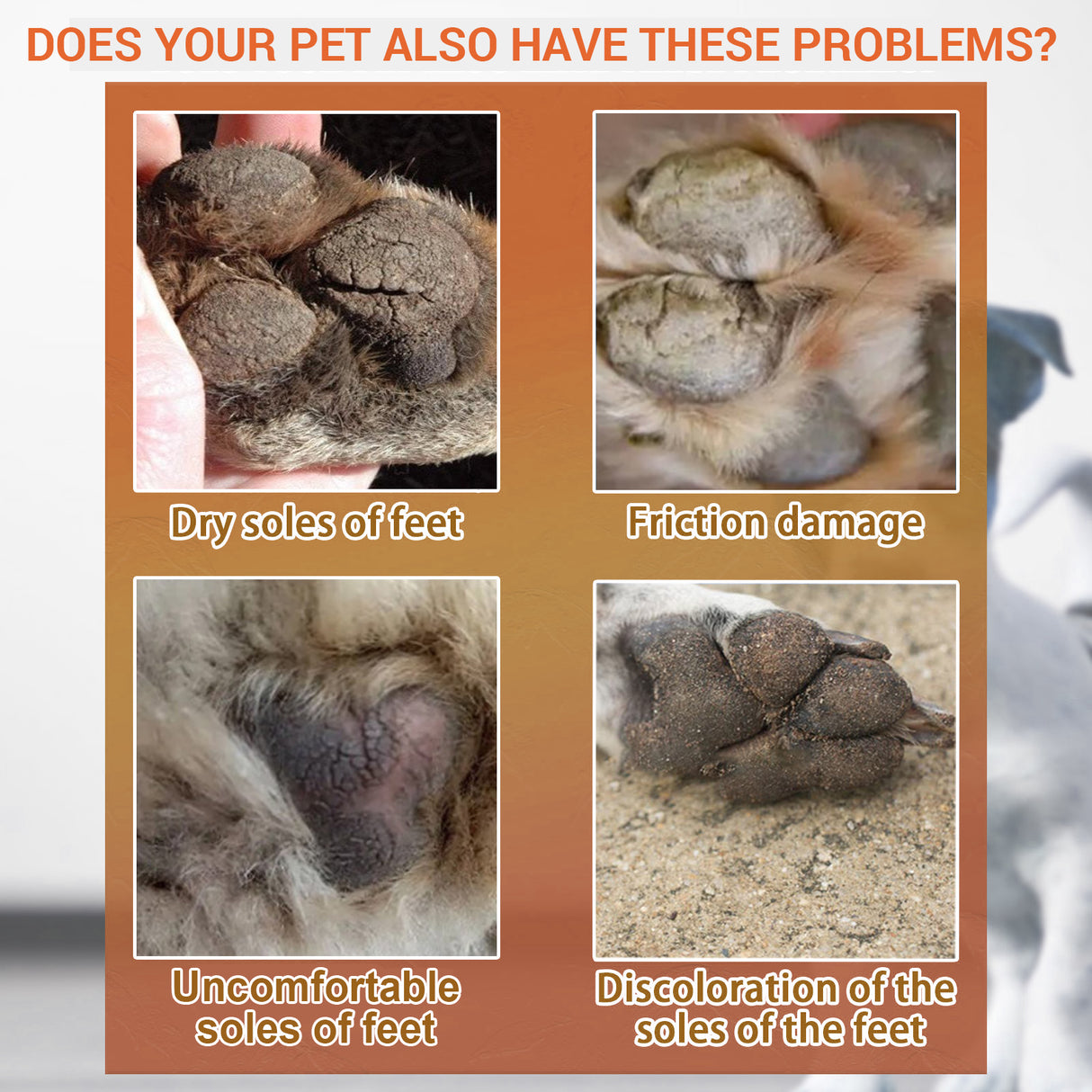 Pet Paw Care Cream, Moisturizing And Anti-Dry Crack Cat And Dog Foot Care Pad Paw Care Cream - V.I.P Digital Presence