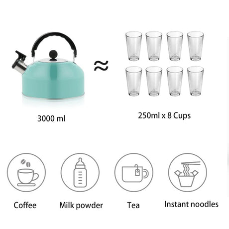 A 3L stainless - steel kettle for gas heating. It features a whistle and a comfortable handle, suitable for cooking and tea. - V.I.P Digital Presence