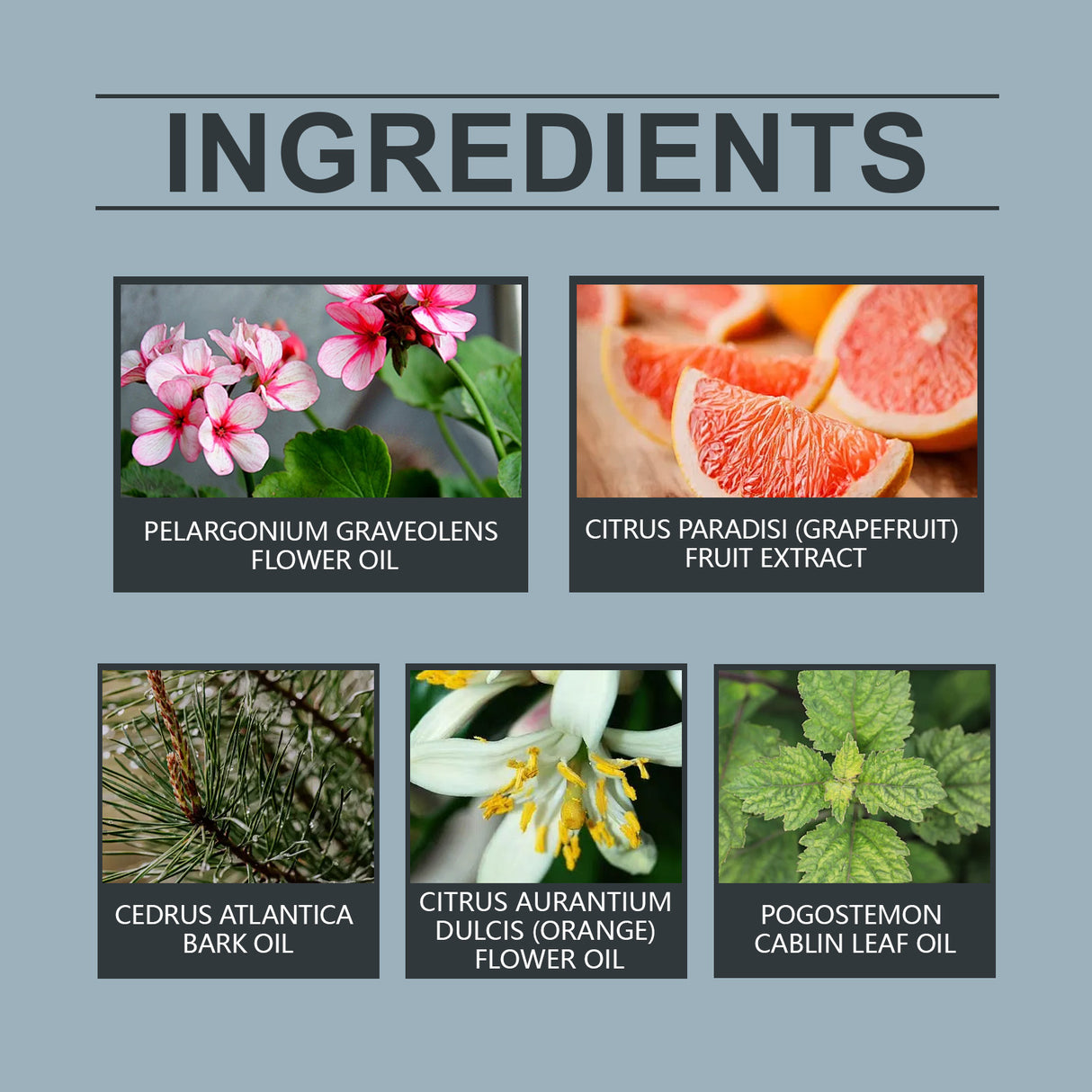 Perfumed Body Balm Clear Cold India Cedar Natural Fragrance Lasting, Not Easy To Loose Non-Sticky Portable Pocket Balm - V.I.P Digital Presence