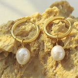 Retro earrings freshwater pearl ring earrings titanium steel 18K plated with real gold jewelry - V.I.P Digital Presence