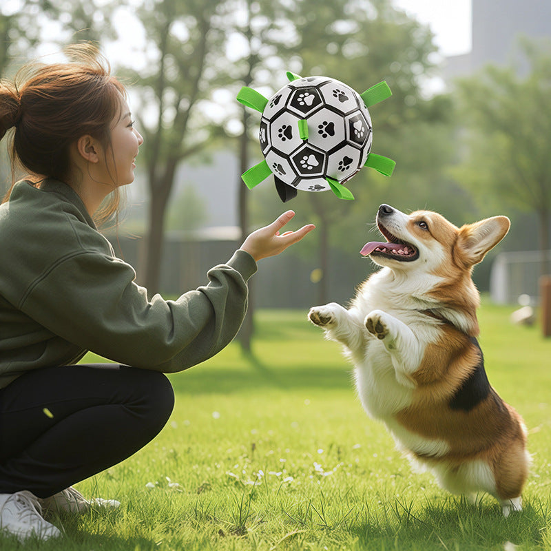 Dog Toy Ball for Teeth Cleaning and Durable Chewing Dog Soccer Ball for Outdoor Use - V.I.P Digital Presence