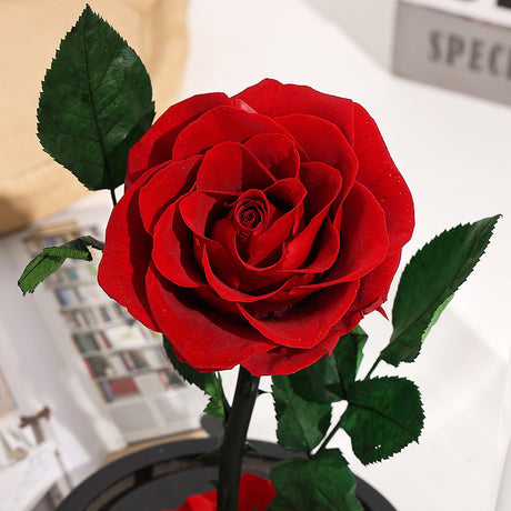 Christmas Valentine's Day Creative Gift Gift for Girlfriend Glass Cover Eternal Flower Gift Box Eternal Rose Gift Ornament - V.I.P Digital Presence