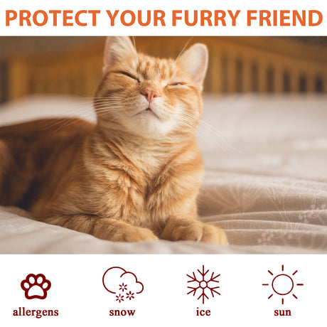 Pet Paw Care Cream, Moisturizing And Anti-Dry Crack Cat And Dog Foot Care Pad Paw Care Cream - V.I.P Digital Presence