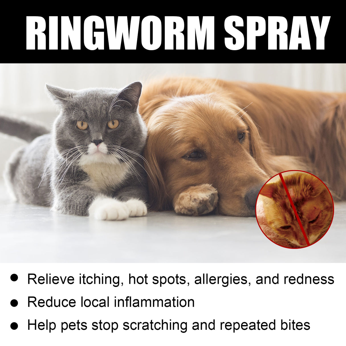 Cat Ringworm Spray, Pet Cats Anti-Mite Cat Moss Care Skin External Use Anti-Itch Spray - V.I.P Digital Presence