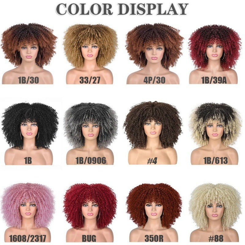 Female Hair African Small Curly Hair Explosion Head Black Chemical Fiber Wig Full Head Set - V.I.P Digital Presence