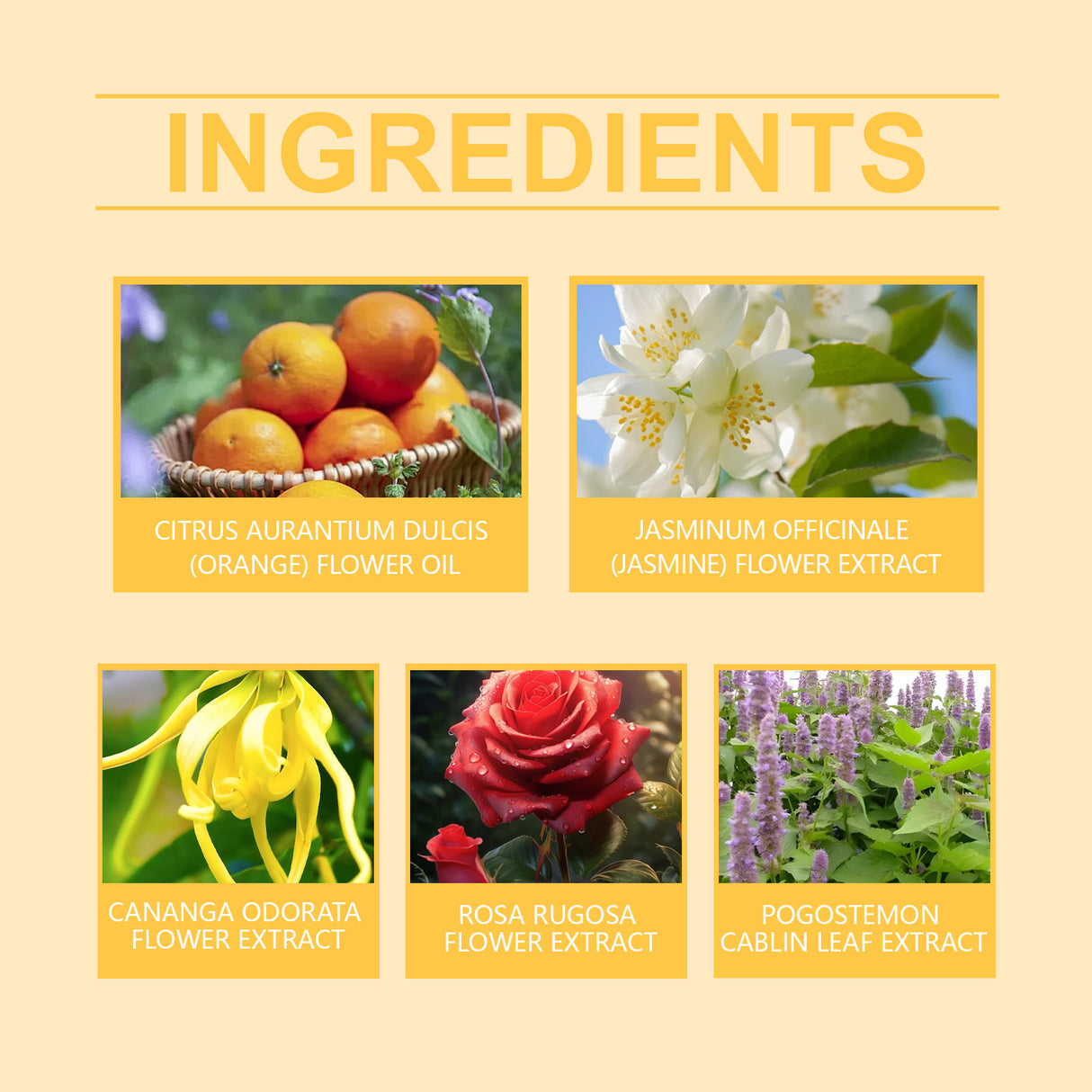 Femmebot Pherowomen Perfume, Light Elegant Exudes Fresh Niche Lovers Dating Portable Charm Perfume - V.I.P Digital Presence