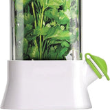 Vanilla vegetable fresh-keeping box pressure resistant fresh-keeping device creative fresh-keeping cup - V.I.P Digital Presence