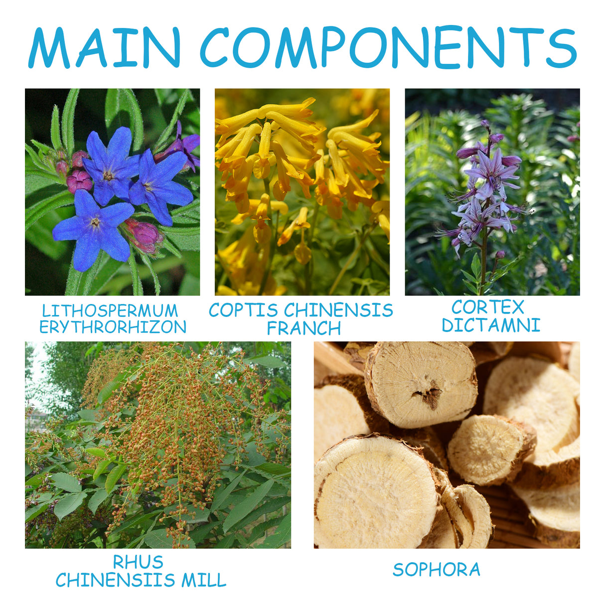 Piercing Aftercare Spray, Ear Hole Cleaning Prevent Odor To Reduce Swelling Pain Relief Spray - V.I.P Digital Presence