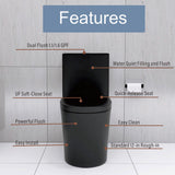 Matte Black Elongated One Piece Toilet Dual Flush 1.1/1.6 GPF Water Saving Map 1000g,Matte Black - V.I.P Digital Presence