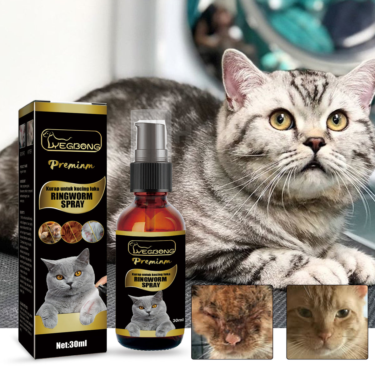 Cat Ringworm Spray, Pet Cats Anti-Mite Cat Moss Care Skin External Use Anti-Itch Spray - V.I.P Digital Presence