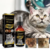 Cat Ringworm Spray, Pet Cats Anti-Mite Cat Moss Care Skin External Use Anti-Itch Spray - V.I.P Digital Presence
