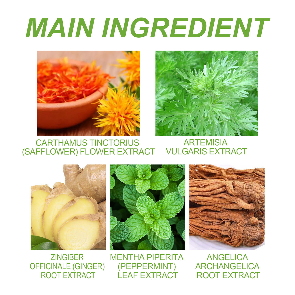 Wormwood Pain Relief Patch, Relieve Lumbar Neck Shoulder Vertebra Knee Joint Muscle Pain Discomfort Body Care Paste - V.I.P Digital Presence