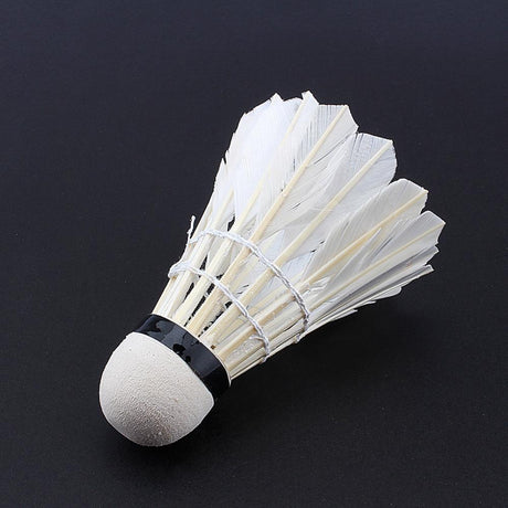 12pcs/lot Badminton - V.I.P Digital Presence