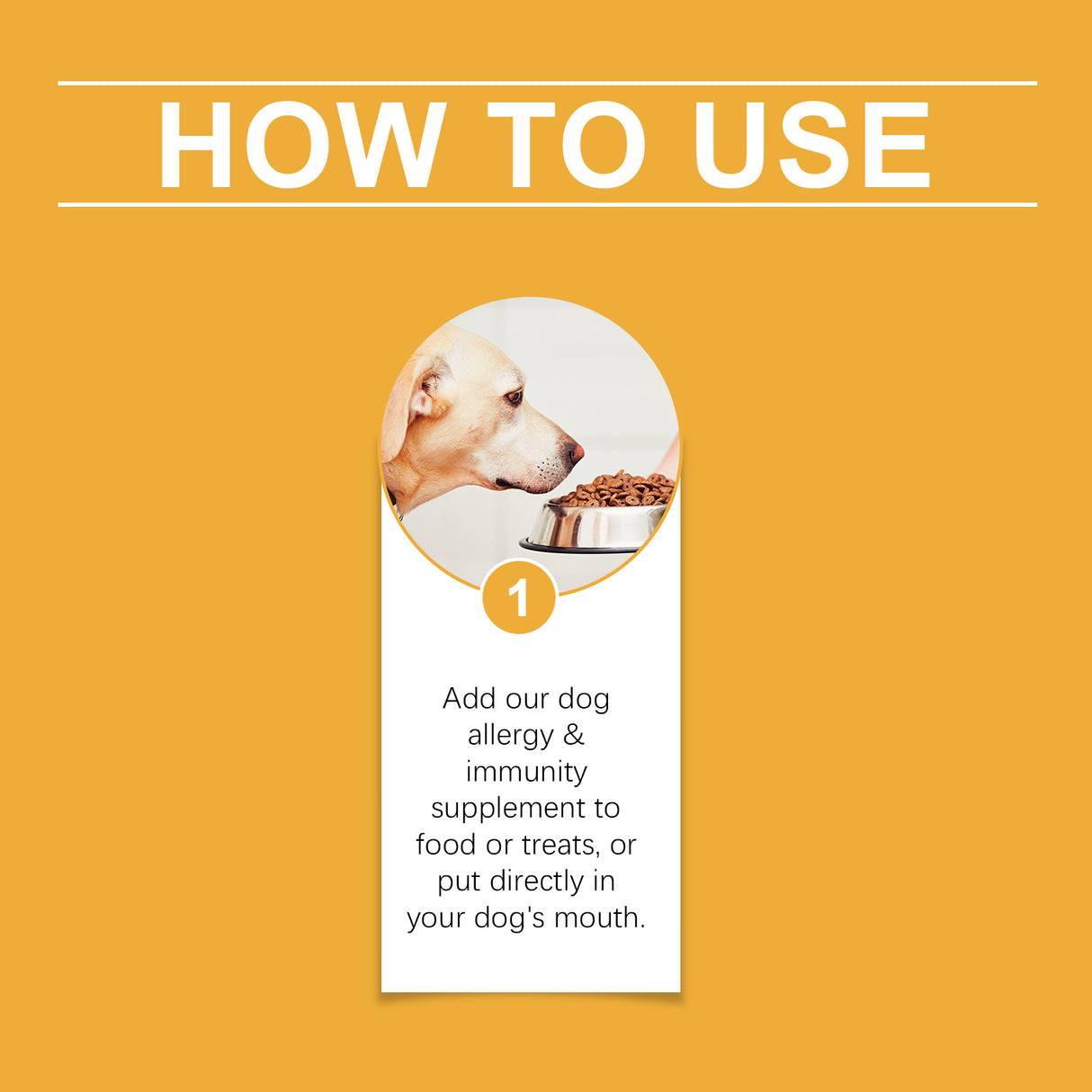 Dog Body Care Drops, Care And Relieve Pet Body Discomfort Nutritional Care Supplements - V.I.P Digital Presence