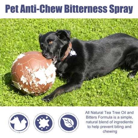 Pet Bitter Anti-Biting Spray, Prevent Dogs Chewing Table And Chair Legs, Scratching Sofa Spray - V.I.P Digital Presence