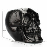 Black Skull Storage Pen Holder for Human Skull Makeup Pen - V.I.P Digital Presence
