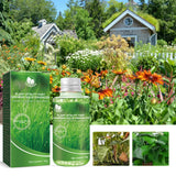 Plant Nutrient, Plant Fertilizer Flower Potted Lawn Green Leaf Root Growth Nutrient - V.I.P Digital Presence