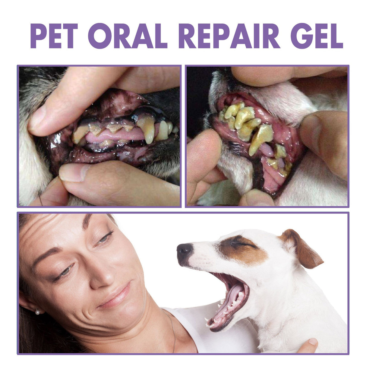 Pet Oral Care Gel for Deep Cleaning of Dog and Cat Teeth Stains and Oral Hygiene - V.I.P Digital Presence