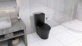 Matte Black Elongated One Piece Toilet Dual Flush 1.1/1.6 GPF Water Saving Map 1000g,Matte Black - V.I.P Digital Presence