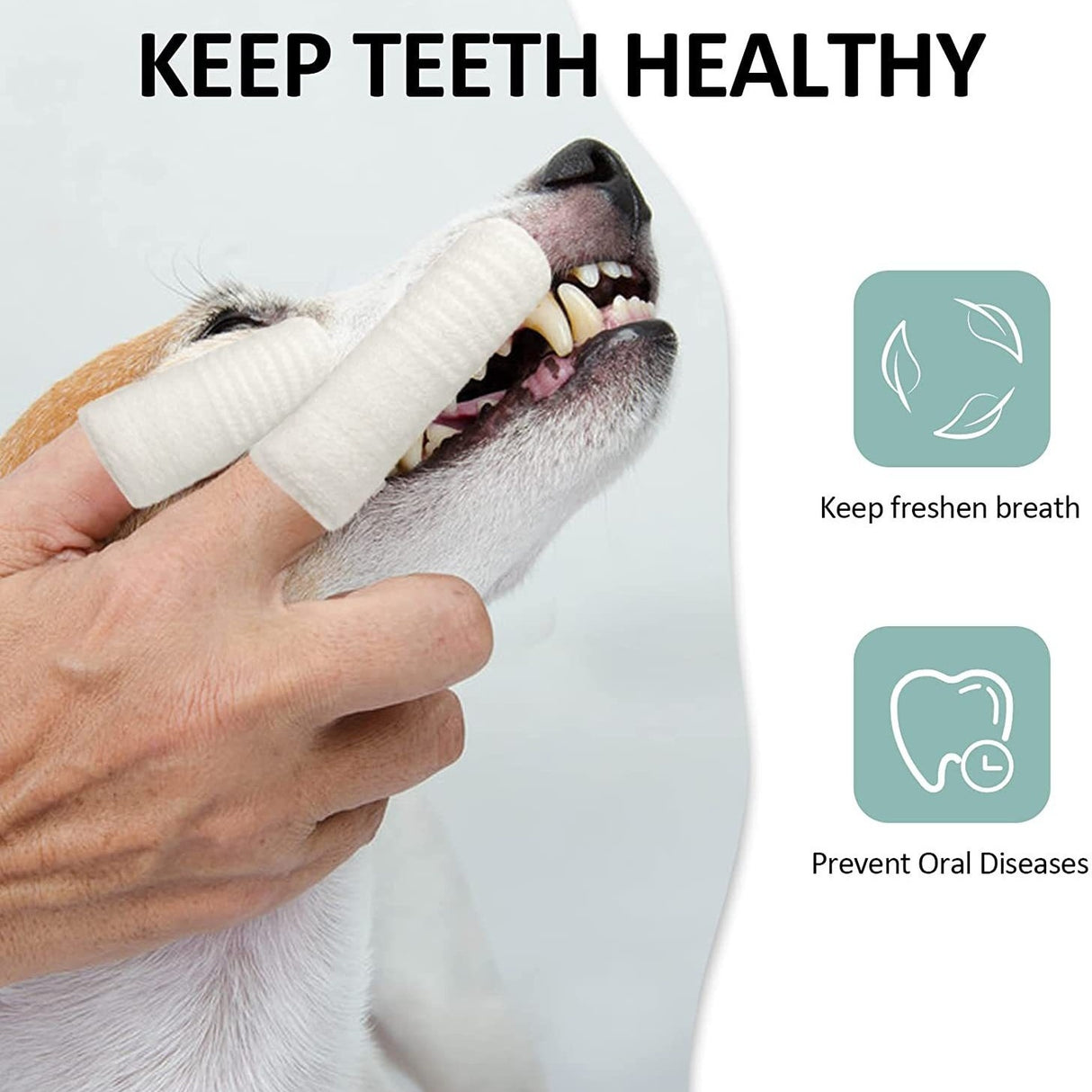 Pet Finger Toothbrush for Dogs and Cats Oral Care Tool Small Cat Finger Toothbrush Grooming Supplies - V.I.P Digital Presence