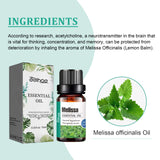 Melissa Officinalis Essential Oil, Moisturizing Massage Skin Body Care Improve Memory Melissa Officinalis Essence - V.I.P Digital Presence