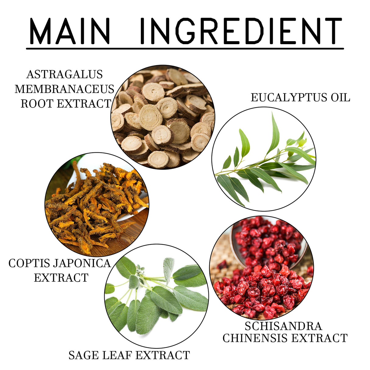 Sugar Relief Patch For Lightheadedness, Balance Blood Lipids, Body Discomfort And Slimming Care - V.I.P Digital Presence