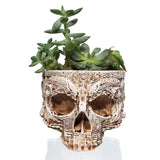 New Resin Plant Grass Skull Flowerpot Creative Indoor Skull Shape Potted Skeleton Craft Ornaments - V.I.P Digital Presence