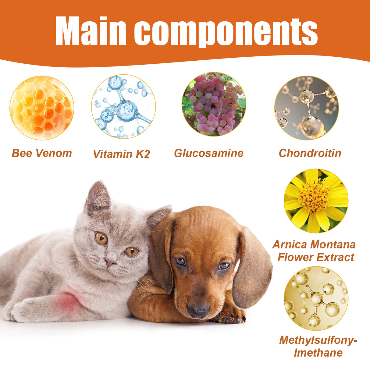 Pet Bee Venom Oil, Joint Care For Cats And Dogs Relieves Joint Pain For Pets Pet Care Water - V.I.P Digital Presence