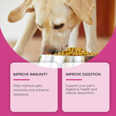 Dog Probiotic Tablets To Improve Intestinal Health, Balance Digestion And Absorption Of Pet Nutritional Supplements - V.I.P Digital Presence