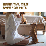 Pet Care Oil, Relieve The Pain Of Pet Bones And Joints Body Muscle Care Essential Oil - V.I.P Digital Presence