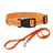 Nylon Dog Collar and Leash Set Pet Collars Leash for Small Medium Large Dogs Dog Accessories for Small Dogs - V.I.P Digital Presence