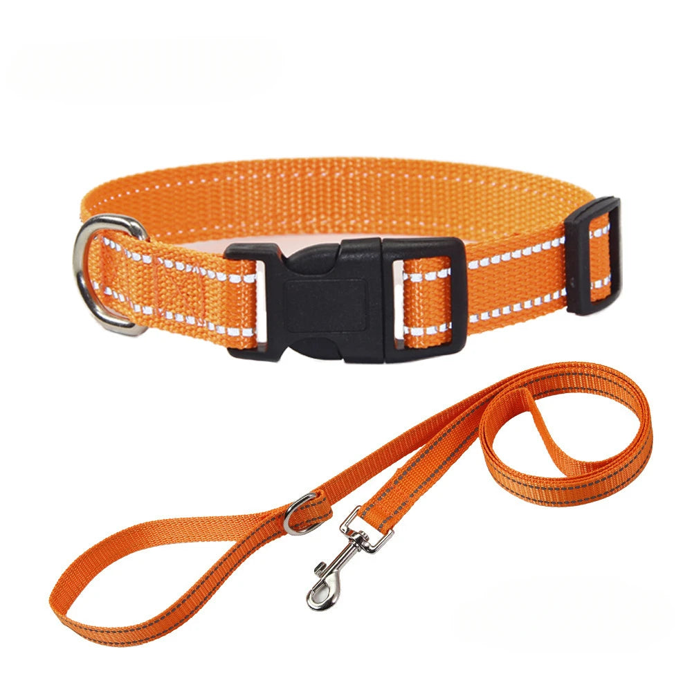 Nylon Dog Collar and Leash Set Pet Collars Leash for Small Medium Large Dogs Dog Accessories for Small Dogs - V.I.P Digital Presence