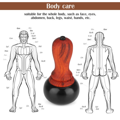 PASTSKY Hot Stone Electric Gua Sha Massager Bian Stone Guasha Tool Skin Scraping Back Face Massage Body Warm Moxibustion Therapy - V.I.P Digital Presence