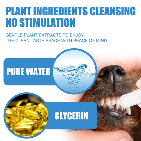 Pet Dental Finger Wipes, Bad Breath Tartar Teeth Yellow Dog Clean Mouth Care Finger Cover - V.I.P Digital Presence