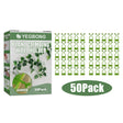 Plant Climbing Wall Holder, Household Vine Plant Wall Climbing Self-adhesive Retainer - V.I.P Digital Presence