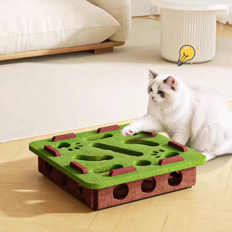 Felt puzzle toys, puzzle boxes, ball motion toys for indoor cat exercise, entertainment and hunting. - V.I.P Digital Presence