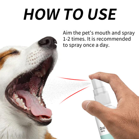 Pet Mint Fresh Breath Spray, Clean Your Dog's Bad Breath Fresh Breath Care - V.I.P Digital Presence