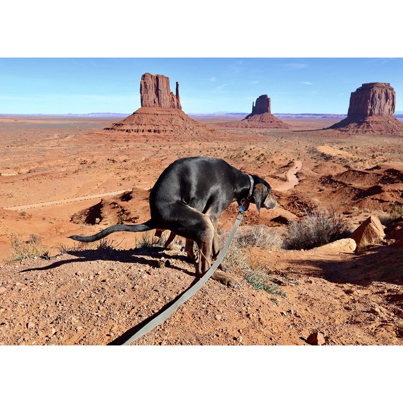 2021 Pooping Pooches Calendar White Elephant Gag Gift Calendar 2021 Calendar Poster Retro Decor Painting - V.I.P Digital Presence