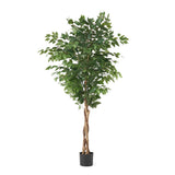 180CM ARTIFICIAL FICUS TREE - V.I.P Digital Presence