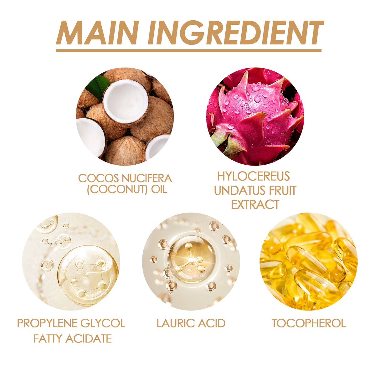 Oceaura Exotic Nourishing Body Oil, Base Oil Fractionated Coconut Oil Body Care Moisturizing Essential Oil - V.I.P Digital Presence