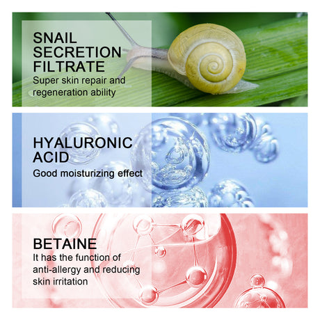 Snail Cream Gentle, Nourishing, Hydrating And Firming Facial Skin Moisturizing Care Essence - V.I.P Digital Presence