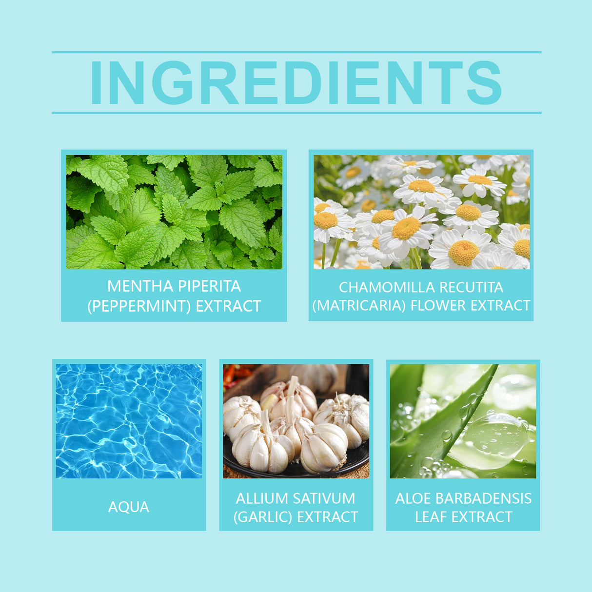 Breath Freshening Mouthwash Fresh Breath Daily Care Teeth Cleaning Odor Mouthwash - V.I.P Digital Presence