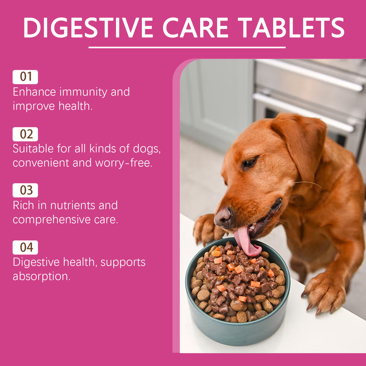 Dog Probiotic Tablets To Improve Intestinal Health, Balance Digestion And Absorption Of Pet Nutritional Supplements - V.I.P Digital Presence