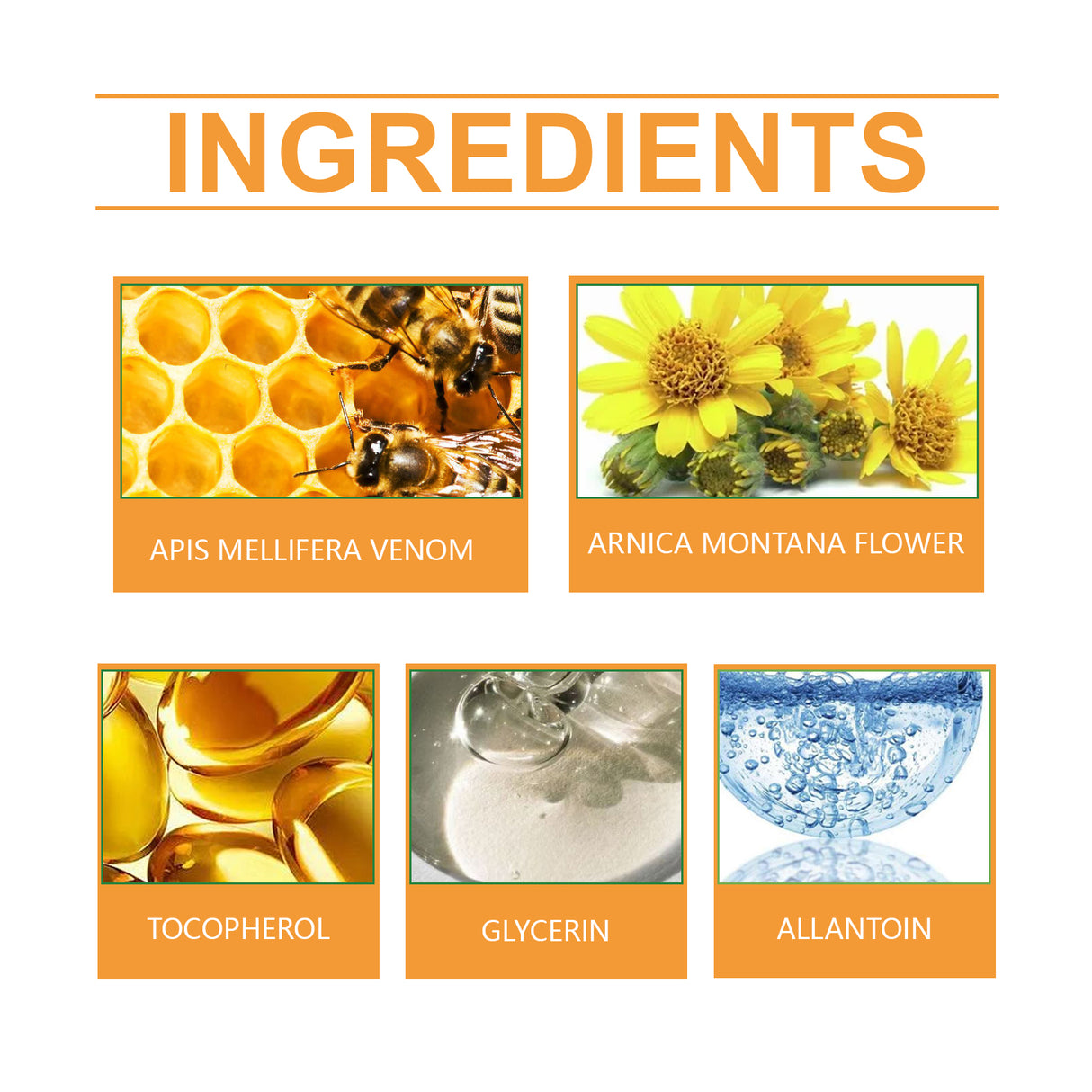 Bee Venom Joint Gel Knee And Foot Joint Daily Body Care Gentle Massage Gel For Topical Use - V.I.P Digital Presence