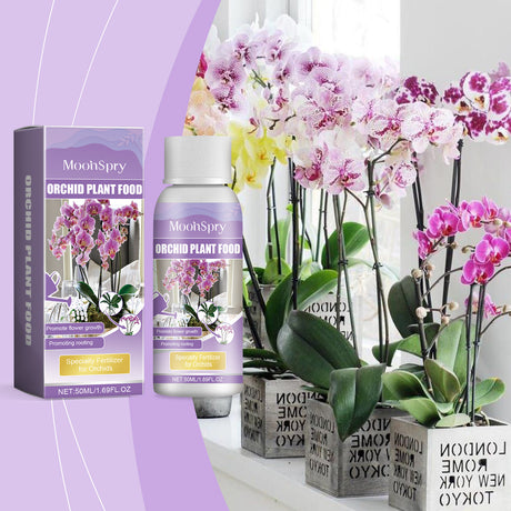 Orchid Plant Growth Agent Flower Green Plant Special Nutrient Solution For Orchid Pot Common - V.I.P Digital Presence