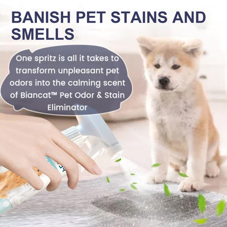 Pet Odor & Stain Eliminator, Clean Dog And Cat Body Odor Feces Odor Removal Indoor Fresh Deodorizer - V.I.P Digital Presence