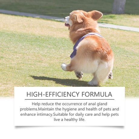 Dog Anal Gland Odor Removal Spray, Mild Ingredients Fresh Clean Odor Removal After Potting Care - V.I.P Digital Presence