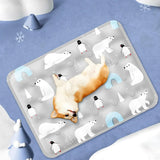 Summer Pet Cooling Pad Ice Crystal Gel Cool Down Cat To Dog Pet Grasp Bed Resistance Collapsible Rectangle Pad Accessories - V.I.P Digital Presence