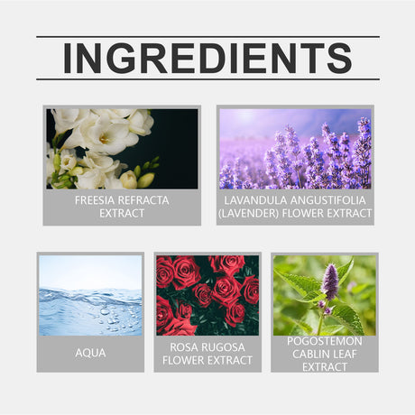 Eau De Toilette, Warm Wood Scent Charming Floral Fragrance Fresh Natural Fragrance Fragrance Lasting Fragrance - V.I.P Digital Presence